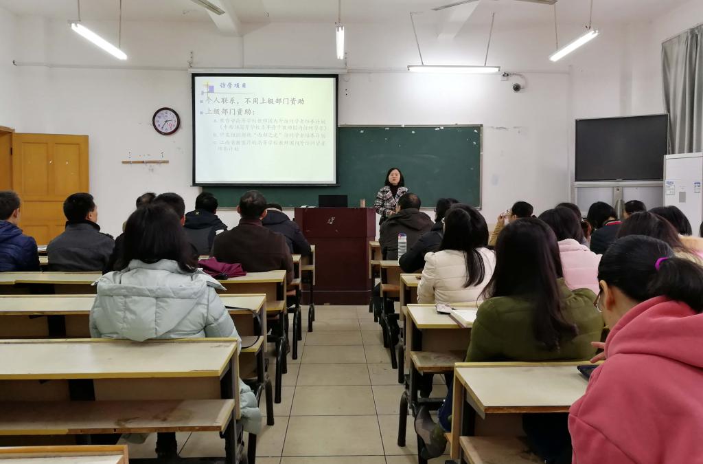 实用技巧与注意事项全解析